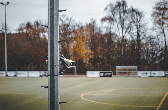 球星伊布拉 球星伊布拉