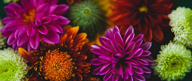 跑步是我生 跑步是我生