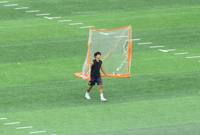 叉训练阶段 叉训练阶段