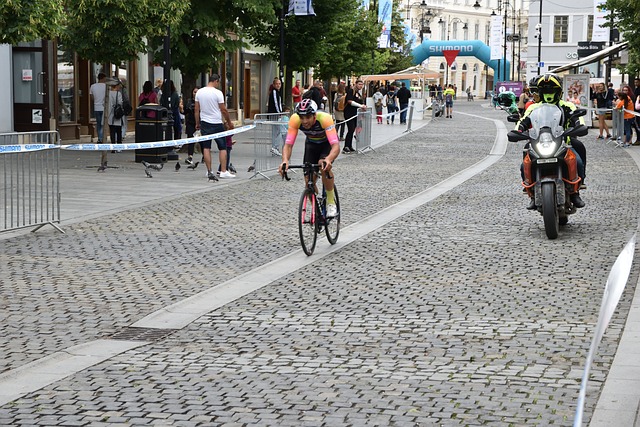 新政府提供 新政府提供