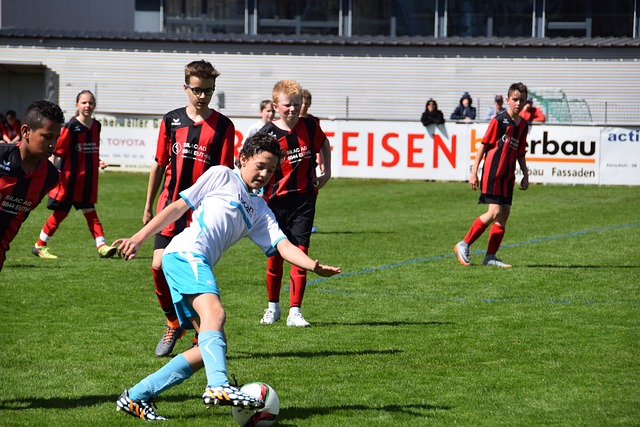 种对抗模式 种对抗模式