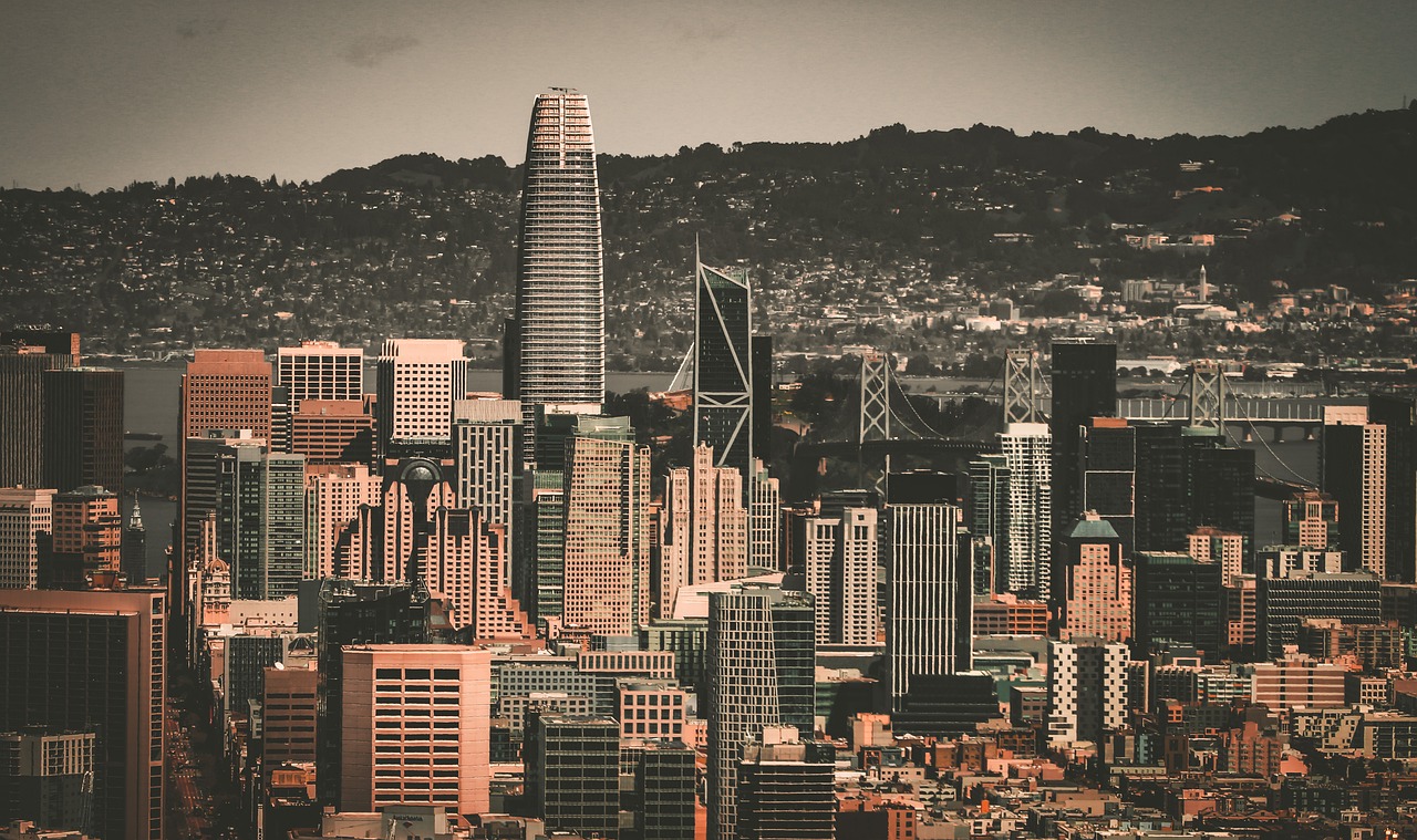 职业发展的 职业发展的