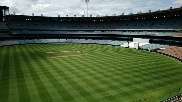 风城科比 风城科比