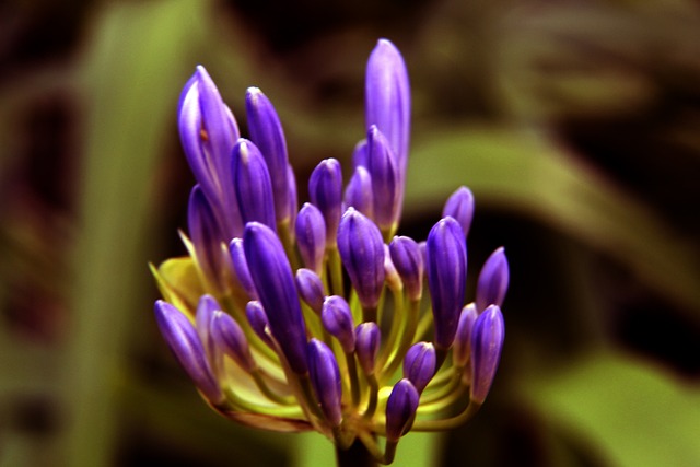 在這場比賽 在這場比賽