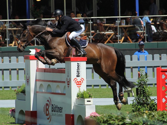 往往是球队 往往是球队