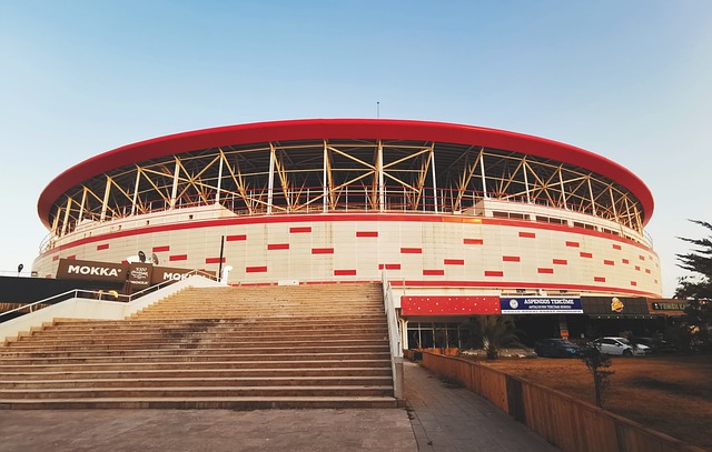 应对广东队 应对广东队